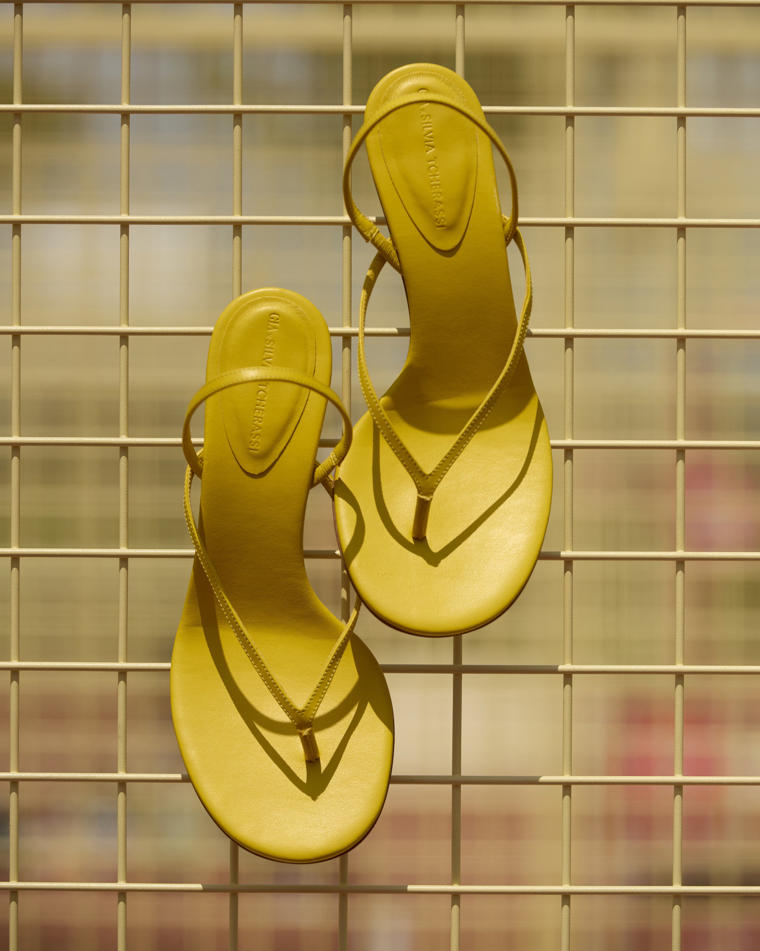 2_2_816cd9a0-4d9f-4743-bb7e-38243ef24ca2