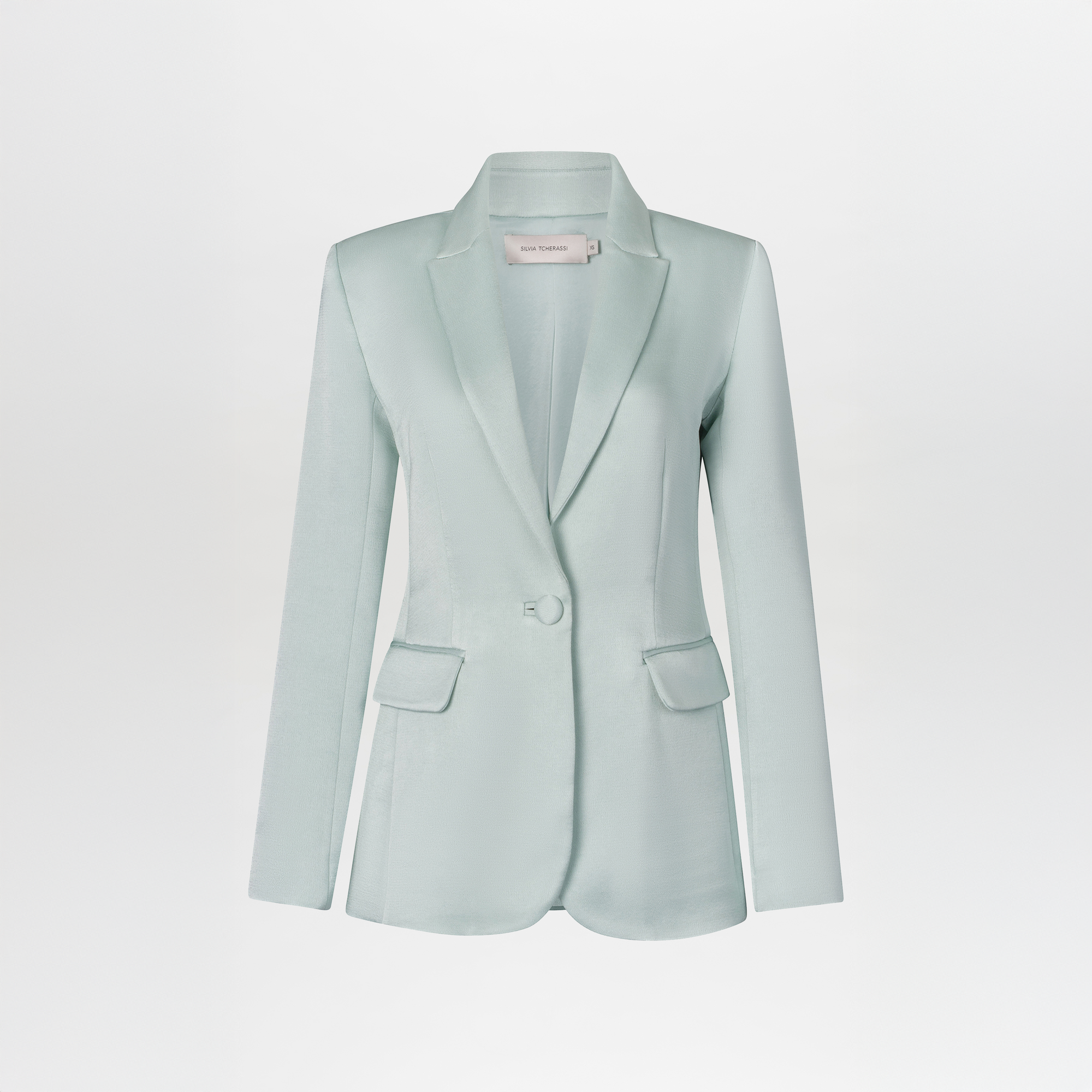 The Rebeca Jacket by SVT DESIGNS is a light pastel green blazer made from crepe fabric with a single-button closure, notched lapels, and two front flap pockets. This novelty jacket boasts a smooth finish and is elegantly displayed against a plain white background.
