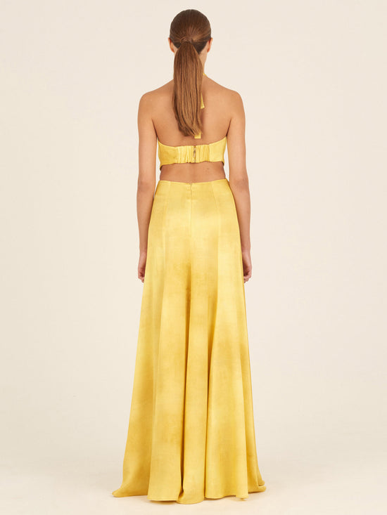 The Camila Dress Canary is a long, backless dress featuring a halter neck design in canary-hued fabric, complete with a knot detail at the front that accentuates a feminine silhouette.